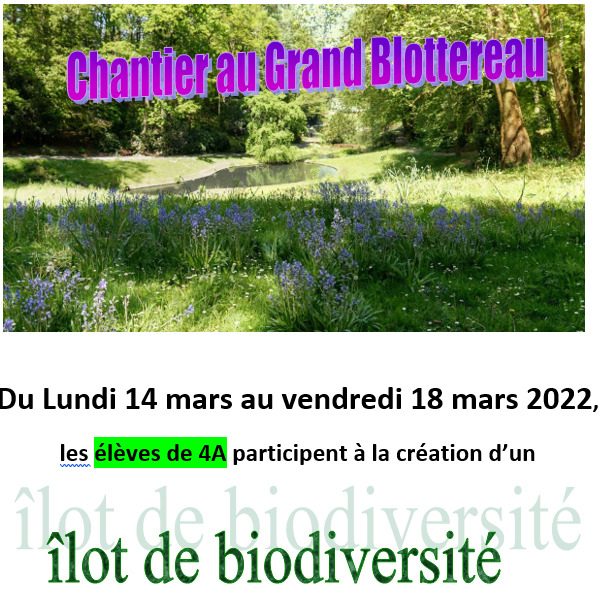 Chantier au Grand Blottereau (4A)